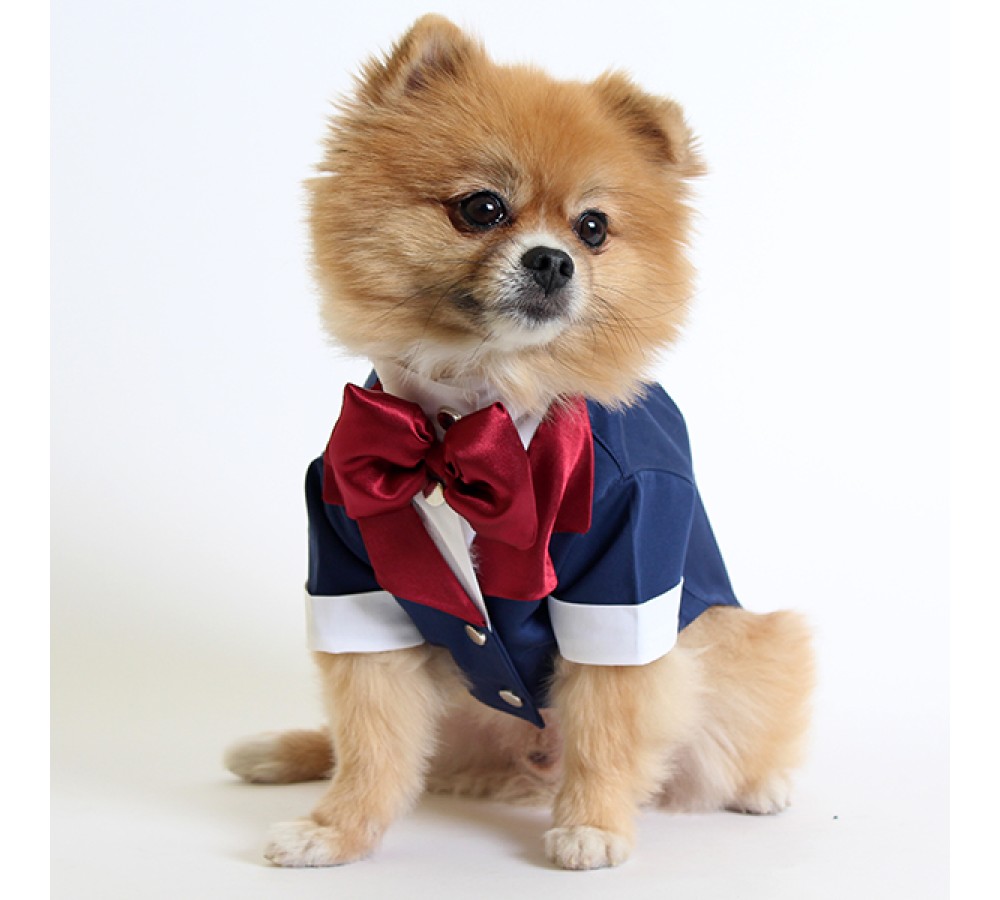 SMOKİN ELBİSE LACİVERT